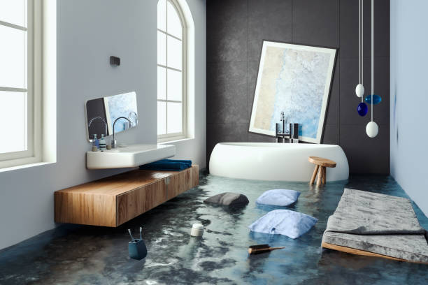 Best Water damage contractors near me  in Dilley, TX