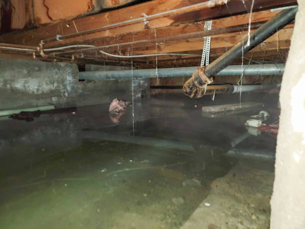 Best 24-hour water damage restoration  in Dilley, TX