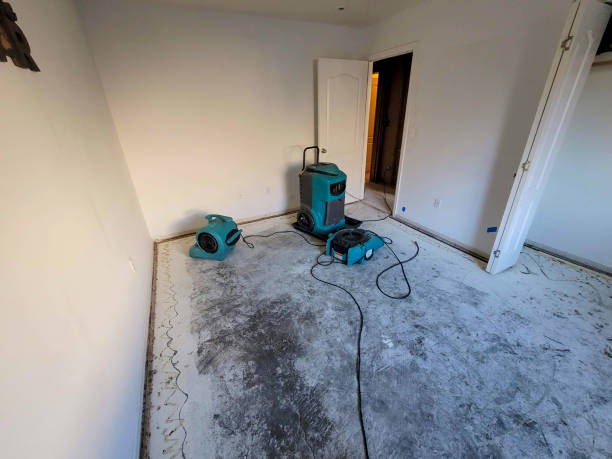 Best Fire Damage Restoration  in Dilley, TX