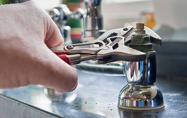 Best Professional water damage repair  in Dilley, TX