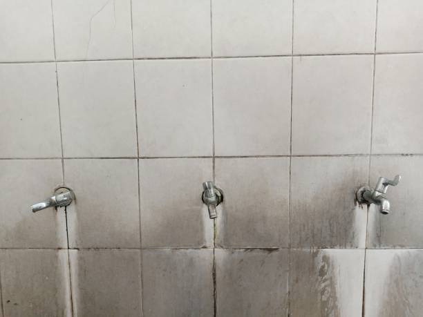 Best 24-hour water damage restoration  in Dilley, TX