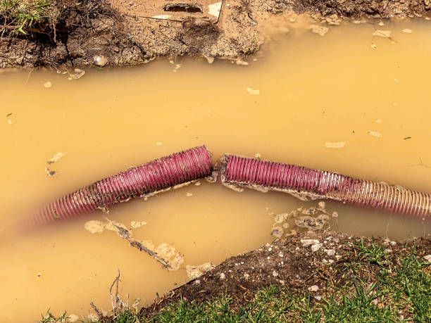 Best Carpet water damage restoration  in Dilley, TX